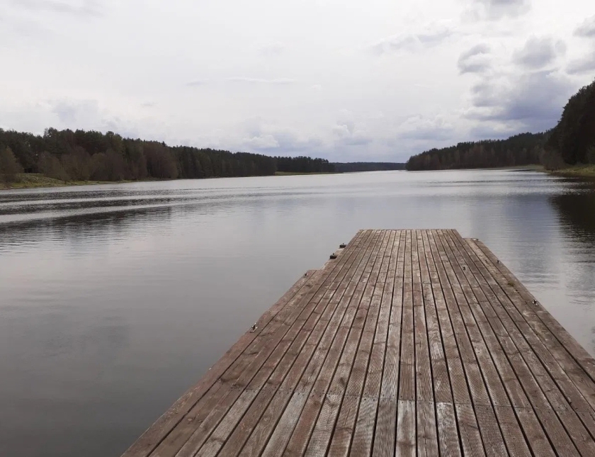 Działka budowlana z lasem , pozwolenie na 16 domów